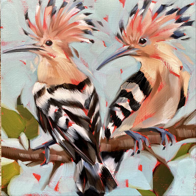 BO81   Hoopoes sold   print available