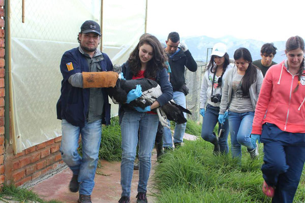 Curso de Manejo de Fauna en Boyacá. Junio 2016