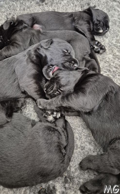 die ersten Spielversuche