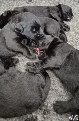 die ersten Spielversuche