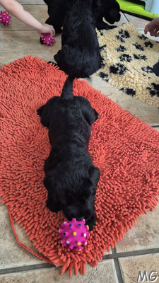 wir haben Geschenke bekommen