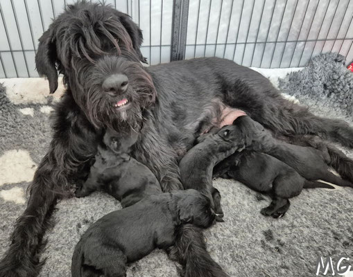 Mama ist die Beste!!