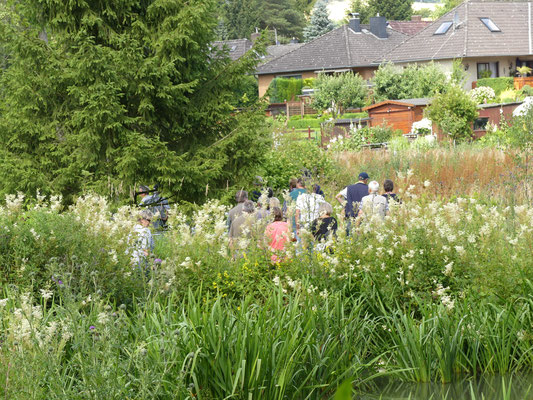 Die Gäste bei der Führung (Unterer Teich, Hochstauden, im Hintergrund Häuser östlich der Hamel; dies zeigt, dass die Projektfläche in die Ortslage eingreift.)