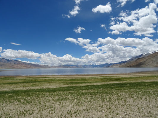 Arrivée au Tso Moriri