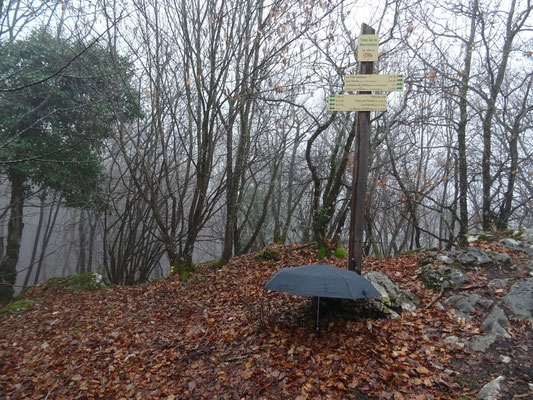 Un bon vieux parapluie, çà fait l'affaire