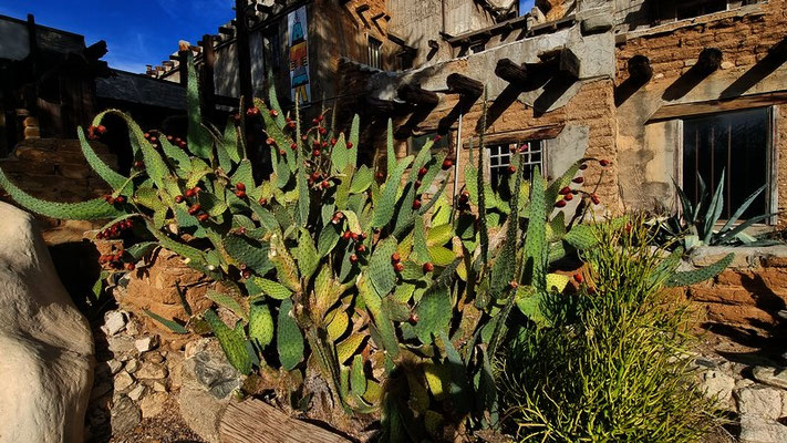 Cabot's Pueblo Museum CA
