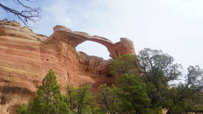 Rattlesnake Canyon