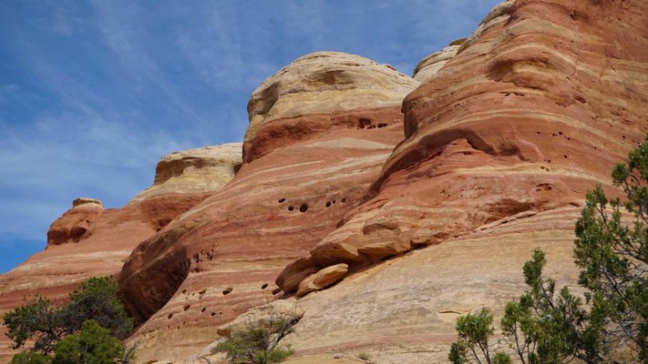 Rattlesnake Canyon