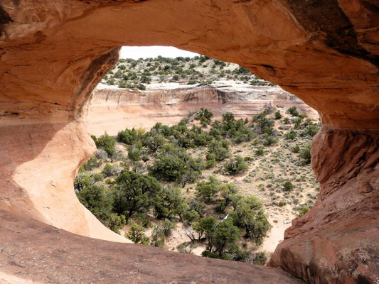 Rattlesnake Canyon