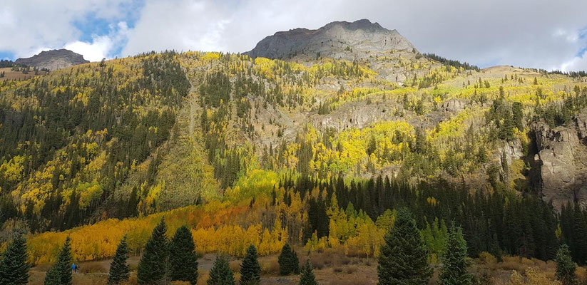 Milliion Dollar Highway
