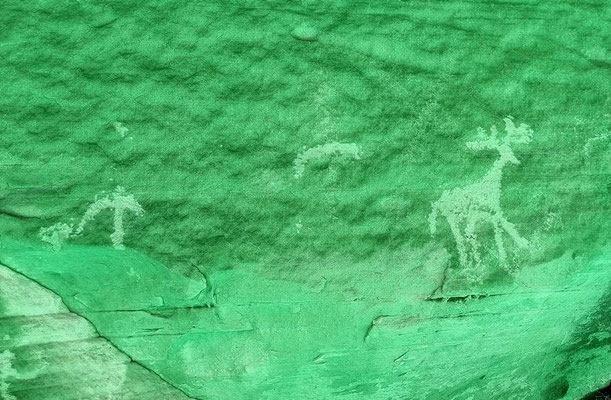 Rock Art Montezuma Canyon