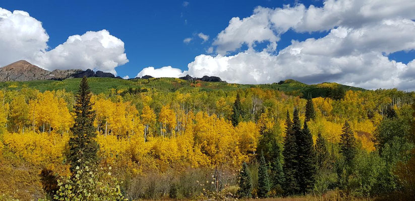 Kebler Pass