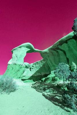 Devils Garden Utah