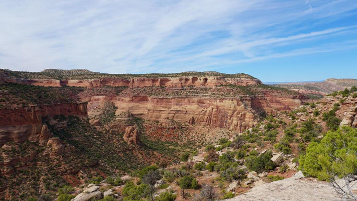 Rattlesnake Canyon