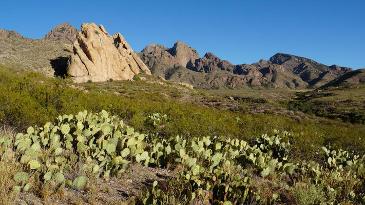 La Cueva Trail