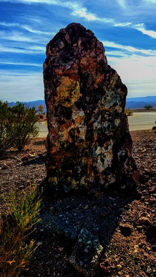 Nature Discovery Trail Boulder NV