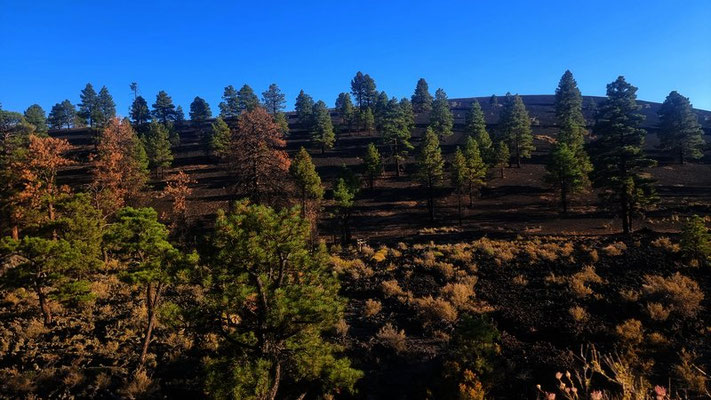 Sunset Crater