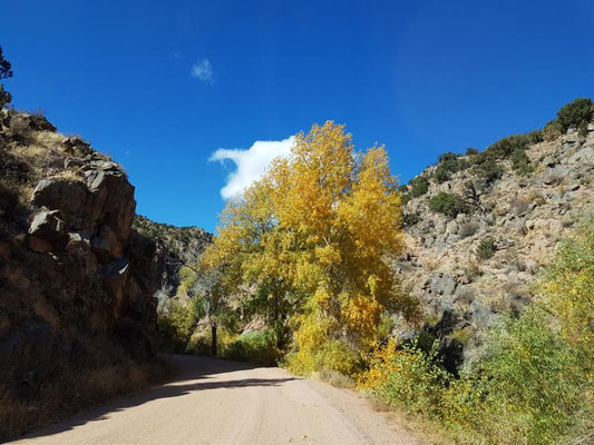 Phantom Canyon Road
