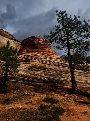 Zion Nationalpark