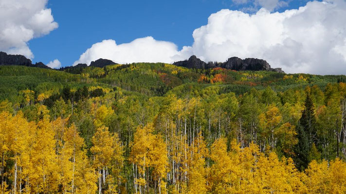 Kebler Pass