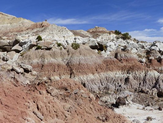 San Jose Badlands, New Mexico