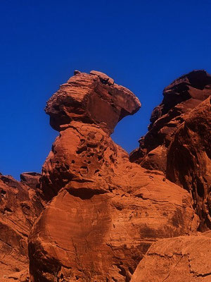 Valley of Fire Nevada