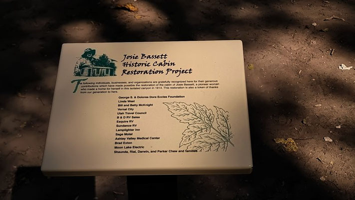 Dinosaur NM