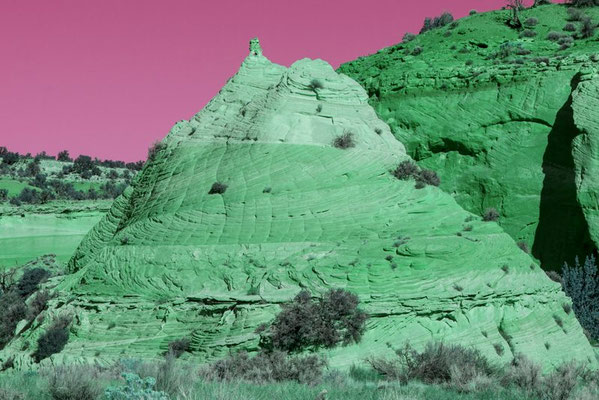 Bighorn Canyon Utah