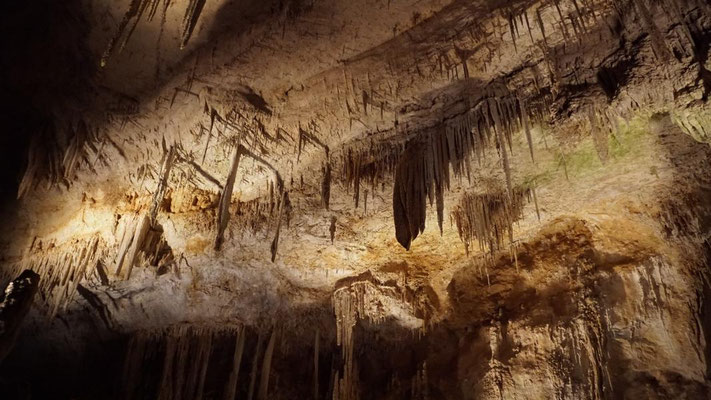 Carlsbad Caverns