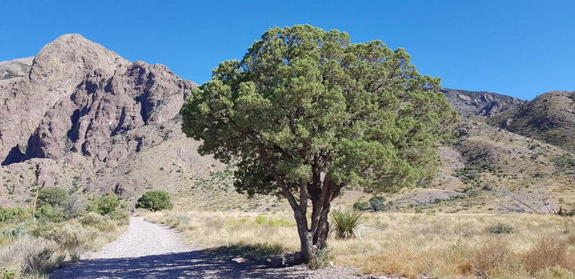 Dripping Springs Loop