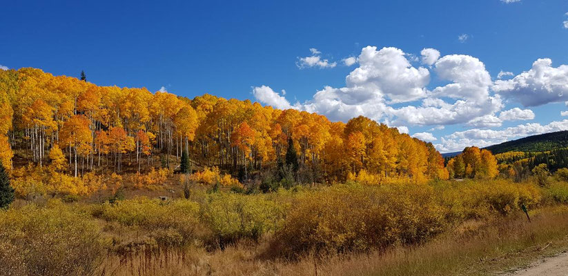 Kebler Pass