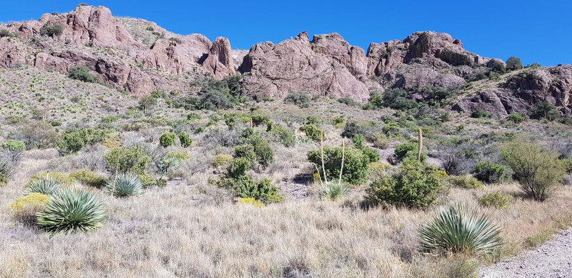 Dripping Springs Loop