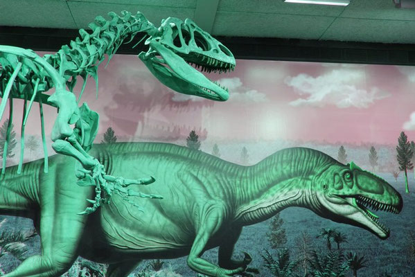 Dinosaur NM