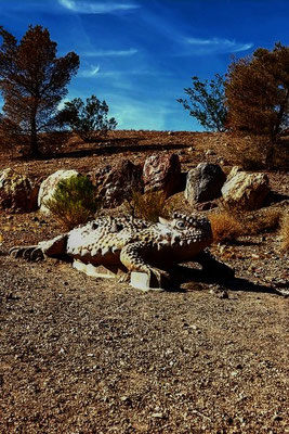 Nature Discovery Trail Boulder NV