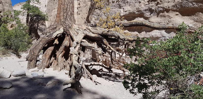Kasha Katuwe Tent Rocks