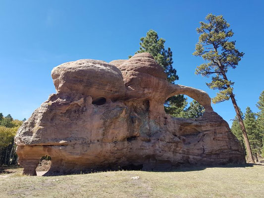 Teakettle Rock