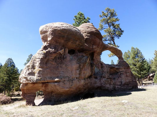Teakettle Rock