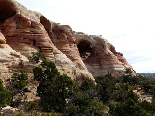 Rattlesnake Canyon