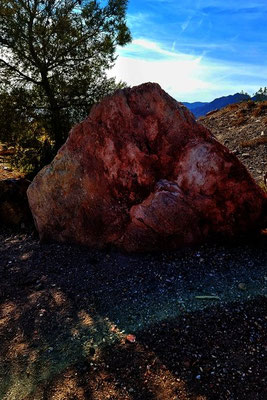 Nature Discovery Trail Boulder NV