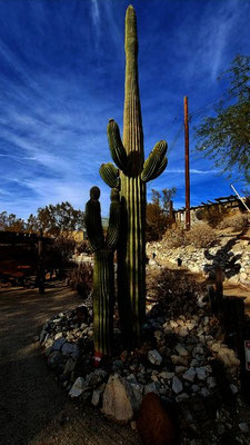 Cabot's Pueblo Museum CA