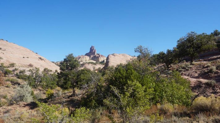 Gallup