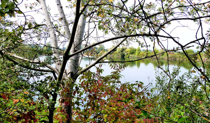 Schreiberweiher