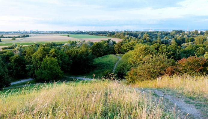 Blick vom Michaelsberg Richtung Oggersheim