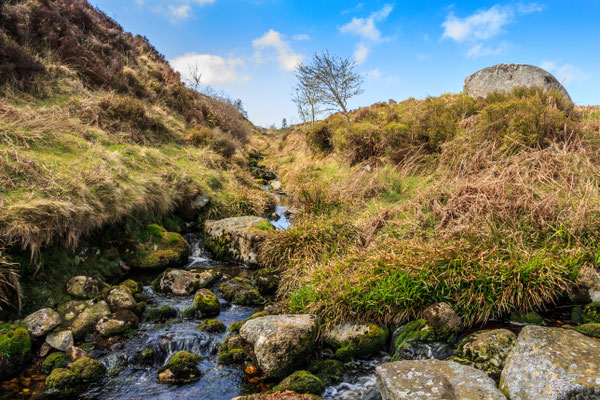 Wicklow Mountains