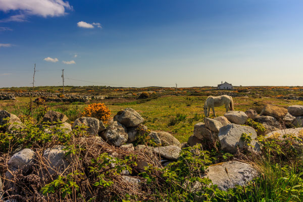 Connemara