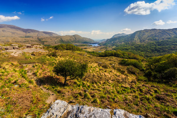 Ring of Kerry Ladies View