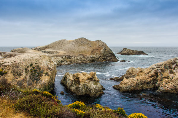 Point Lobos State Reserve