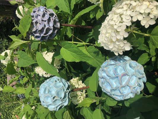 Hortensia