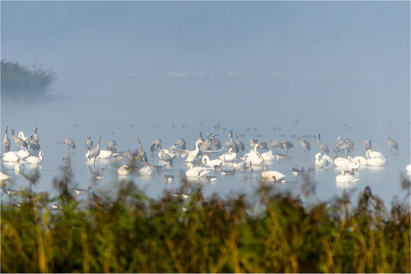 Aussichtspunkt  bei Heinrichswalde