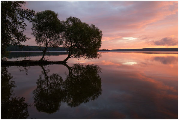 Morgenrot